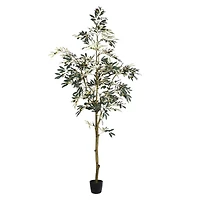 7ft. Potted Olive Tree