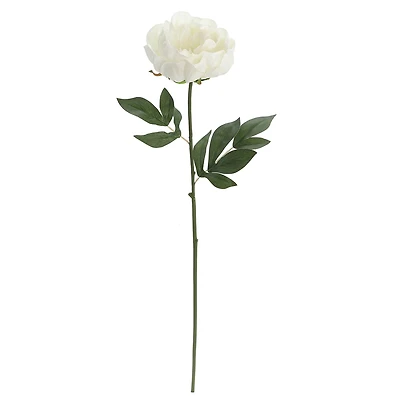 White Peony Stem by Ashland®