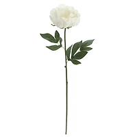 White Peony Stem by Ashland®