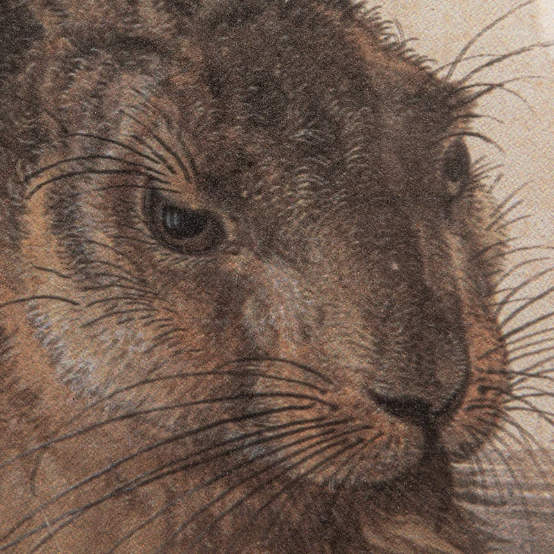 Hello Honey® 15" Wood Framed Rabbit Portrait Wall Art Set