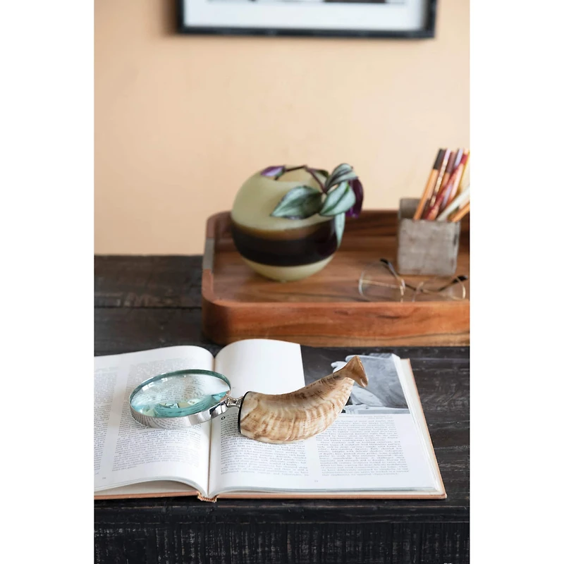 Hello Honey® Stainless Steel Magnifying Glass with Horn Handle