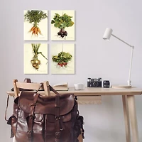 Stupell Industries Kitchen Vegetable Bunches Farm Radish Beets Carrots Onions Wall Plaque