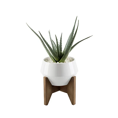 Flora Bunda® 20" Aloe In 8.5" Geo Ceramic Pot On Wood Stand