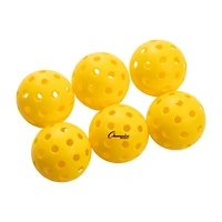 Champion Sports Recreational Outdoor Pickleball Set