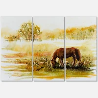 Designart - Horse Grazing On A Meadow