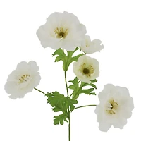 25" White Ranunculus Stem by Ashland®