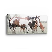 Grazin' Canvas Giclee