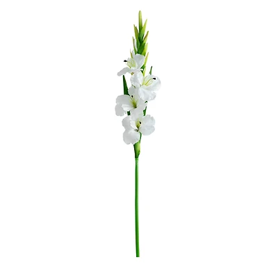 45" White Gladiolus Flower Stems, 3ct.