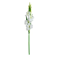 45" White Gladiolus Flower Stems, 3ct.
