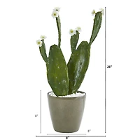 2ft. Flowering Cactus in Green Planter