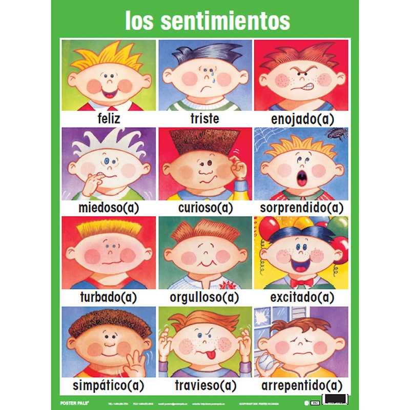 Poster Pals® Spanish Essential Classroom Posters
