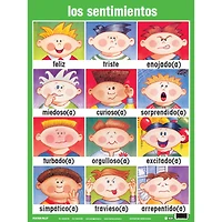 Poster Pals® Spanish Essential Classroom Posters