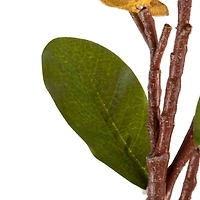 Pink Magnolia Stem, 3ct.