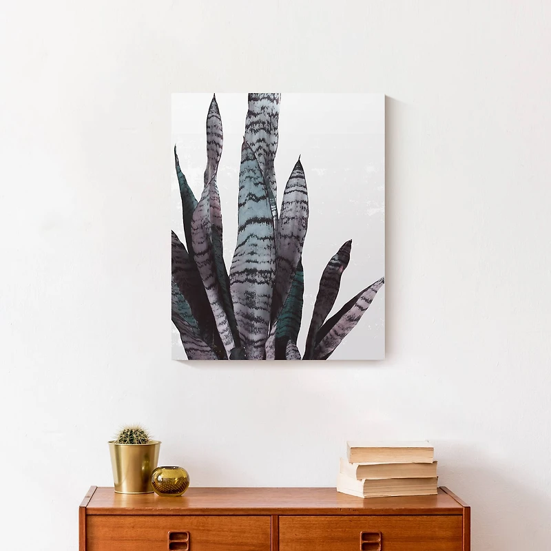 Snake Plant 16" x 20" Canvas Wall Art