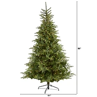 8ft. Pre-Lit North Carolina Spruce Artificial Christmas Tree, Clear LED Lights