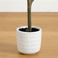 4ft. Autumn Birch Artificial Fall Tree in White Decorative Planter