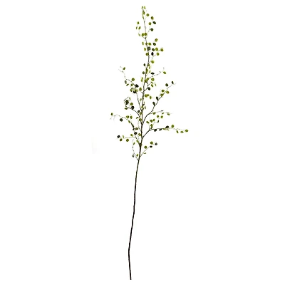 Green Night Willow Stem, 6ct.