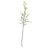 Green Night Willow Stem, 6ct.
