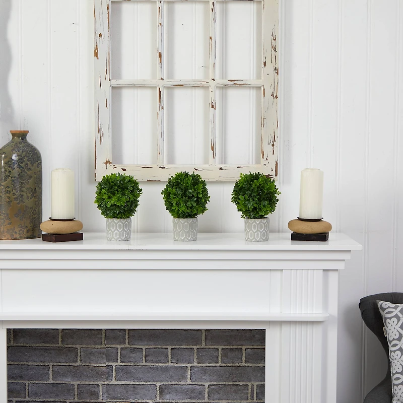 9" Potted Boxwood Mini Topiary, 3ct.