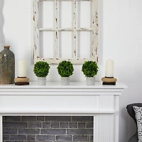 9" Potted Boxwood Mini Topiary, 3ct.