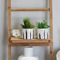 Novogratz Green Faux Foliage Succulent in Patterned Porcelain Pot Set