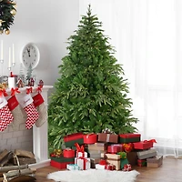 6.5ft. Pre-Lit Roosevelt Fir Artificial Christmas Tree, Warm White LED Lights