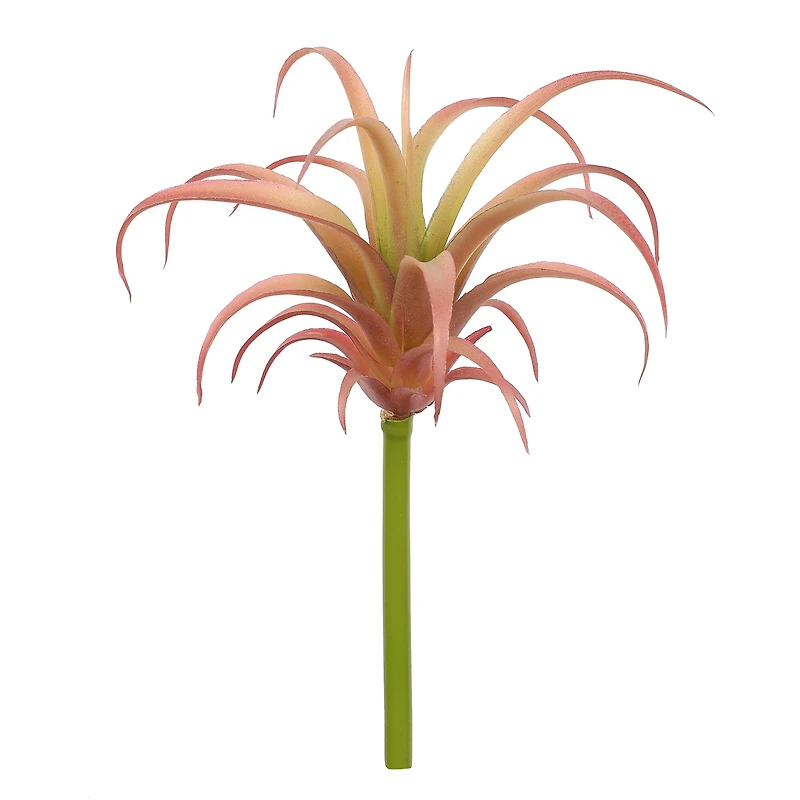 Assorted 7" Tillandsia Pick by Ashland®