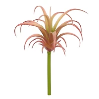 Assorted 7" Tillandsia Pick by Ashland®