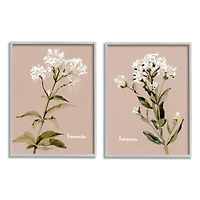 Stupell Industries White Boneset Flowers Soft Green White Brown in Gray Frame Wall Art
