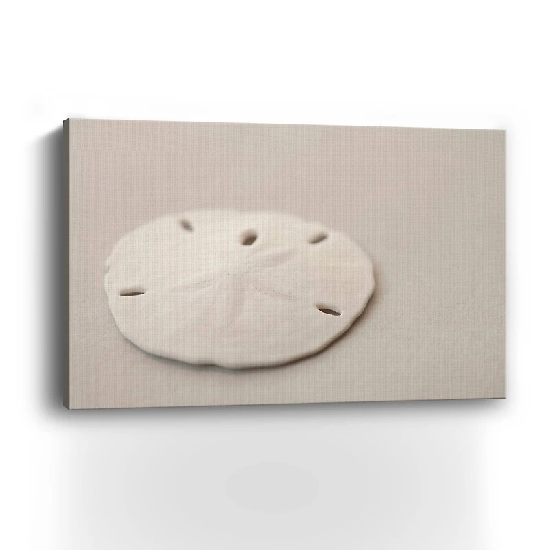 Sand Dollar Canvas Giclee