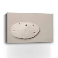 Sand Dollar Canvas Giclee