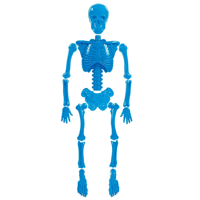 Toysmith® Bag O' Beach Bones Sand Molds