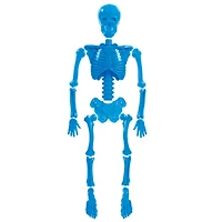 Toysmith® Bag O' Beach Bones Sand Molds