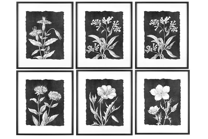 Hello Honey® Black and White Botanical Print Wall Décor with Glass and Wood Frame Set