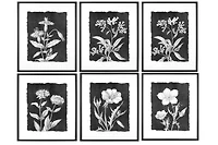Hello Honey® Black and White Botanical Print Wall Décor with Glass and Wood Frame Set
