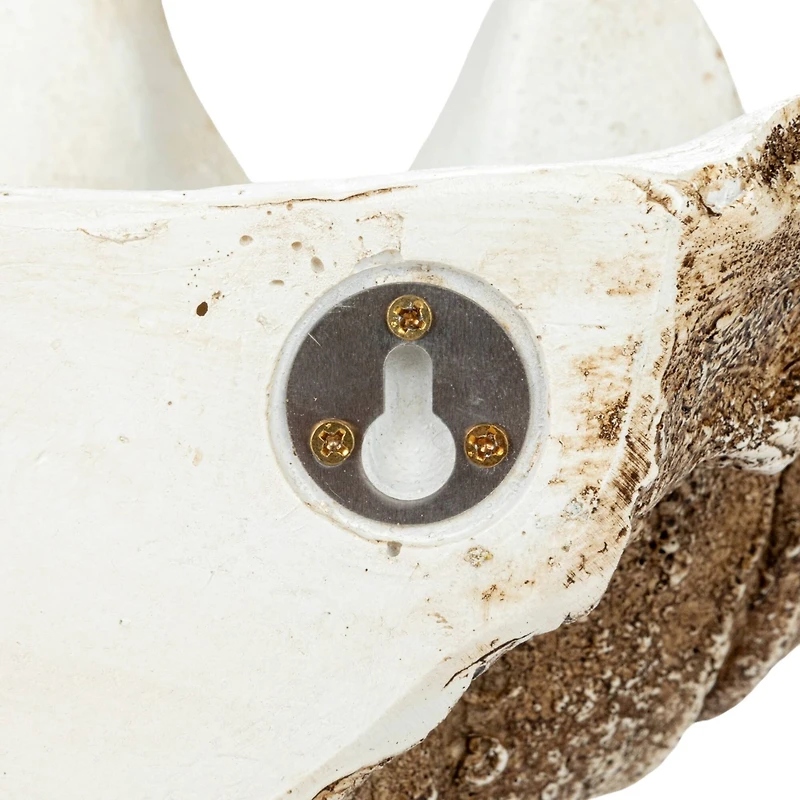 Hello Honey® 14.25" Decorative Clam Wall Bowl