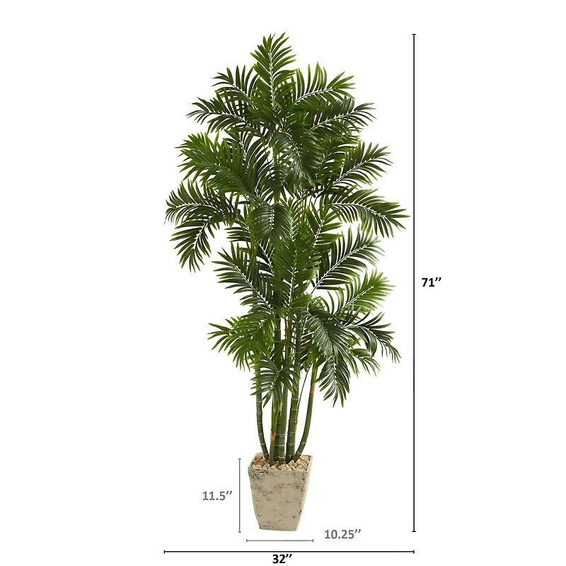6ft. Areca Palm Tree in Country White Planter