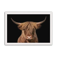 Moody Highland Cow 11" x 14" White Framed Print Under Plexiglass