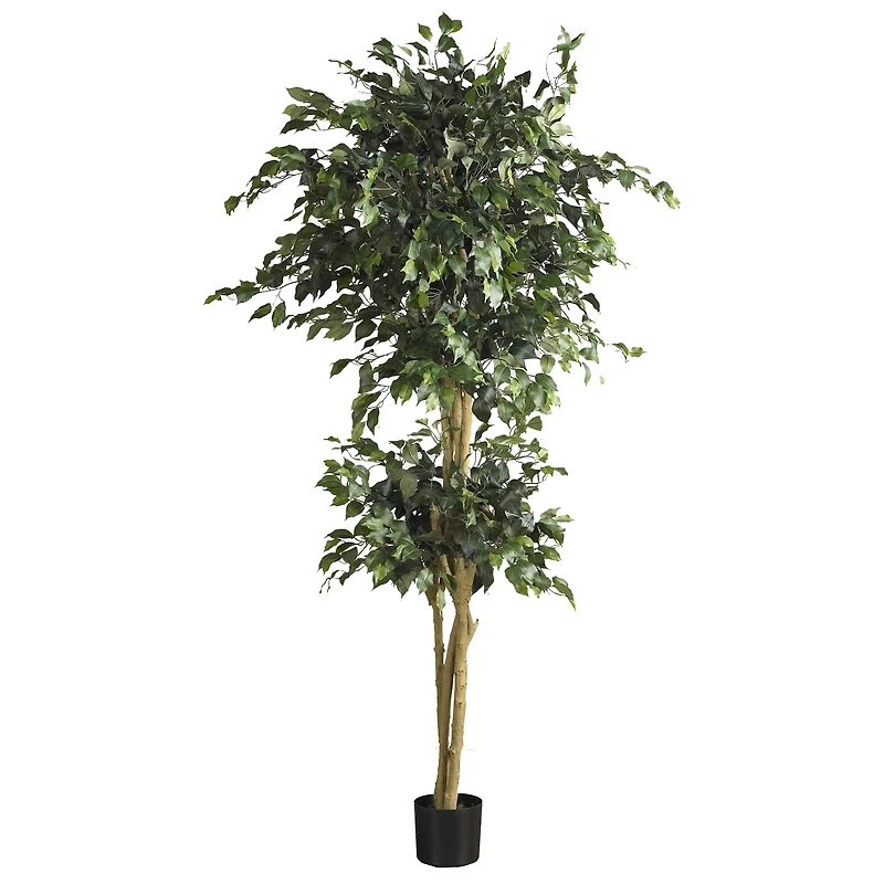 6ft. Potted Double Ball Ficus Silk Tree