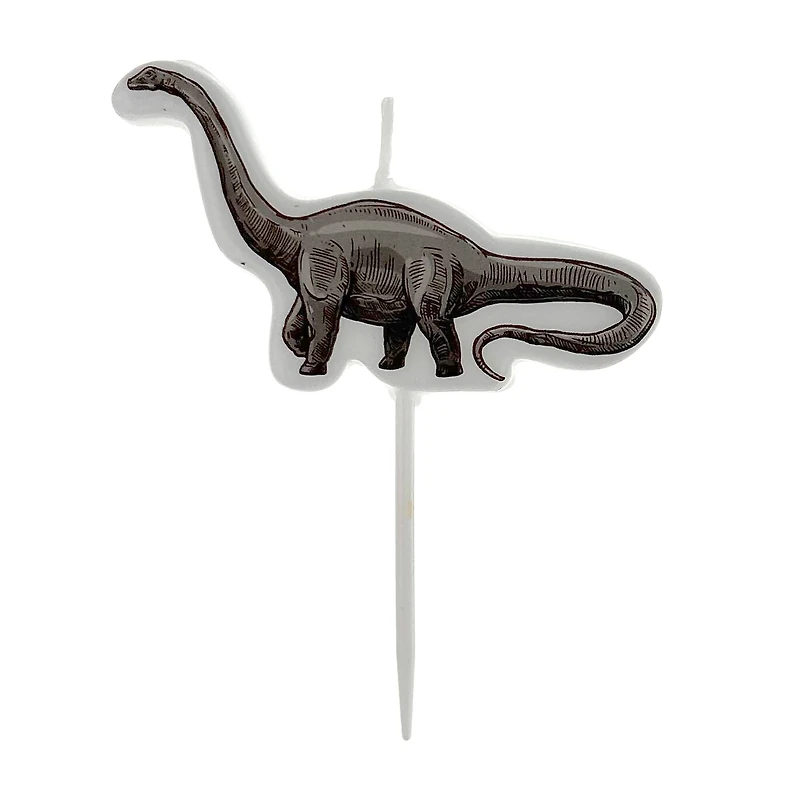 Dinosaur Candle Set by Celebrate It™