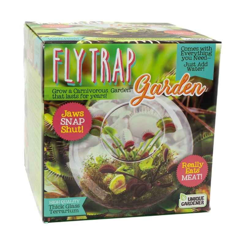 Glass Terrarium - Fly Trap Garden