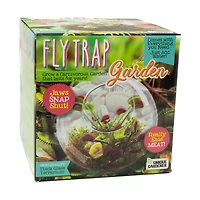 Glass Terrarium - Fly Trap Garden