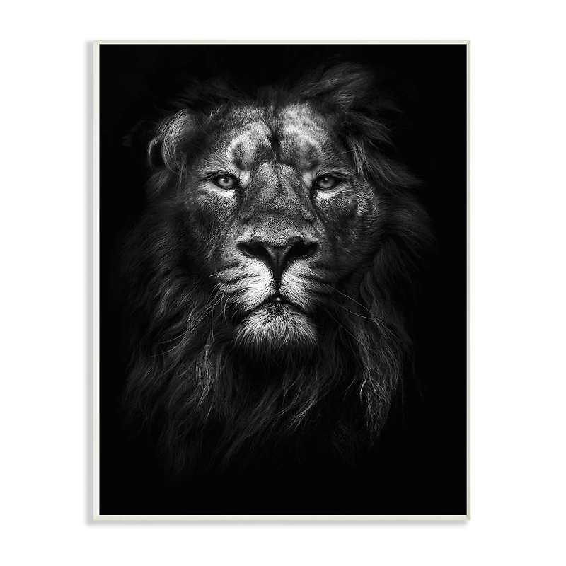 Stupell Industries Lion in Shadows Wall Plaque