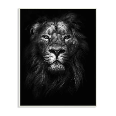 Stupell Industries Lion in Shadows Wall Plaque
