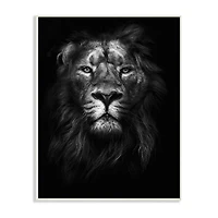 Stupell Industries Lion in Shadows Wall Plaque