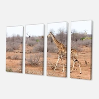 Designart - Giraffe Walking through African Forest