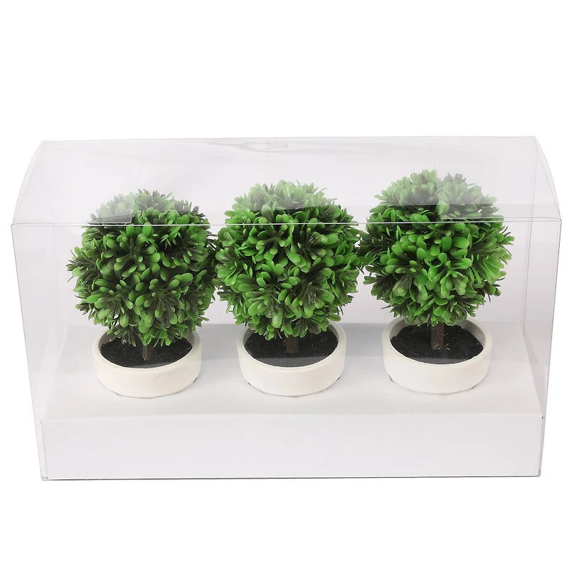 6.75" Premade Green Boxwood Ball Topiaries in Plastic Pots, 3ct. by Ashland®