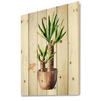 Designart - Yucca Tree In The Ceramic Flower Pot