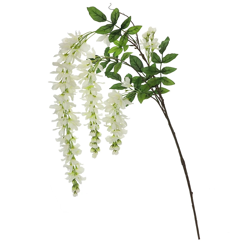 Cream Wisteria Stem by Ashland®