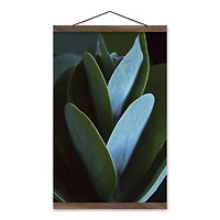 Close Up Leaf Stalk Teak Hanging Canvas